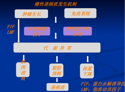 阿那莫林|恶病质无药可医?首款药物在日本上市